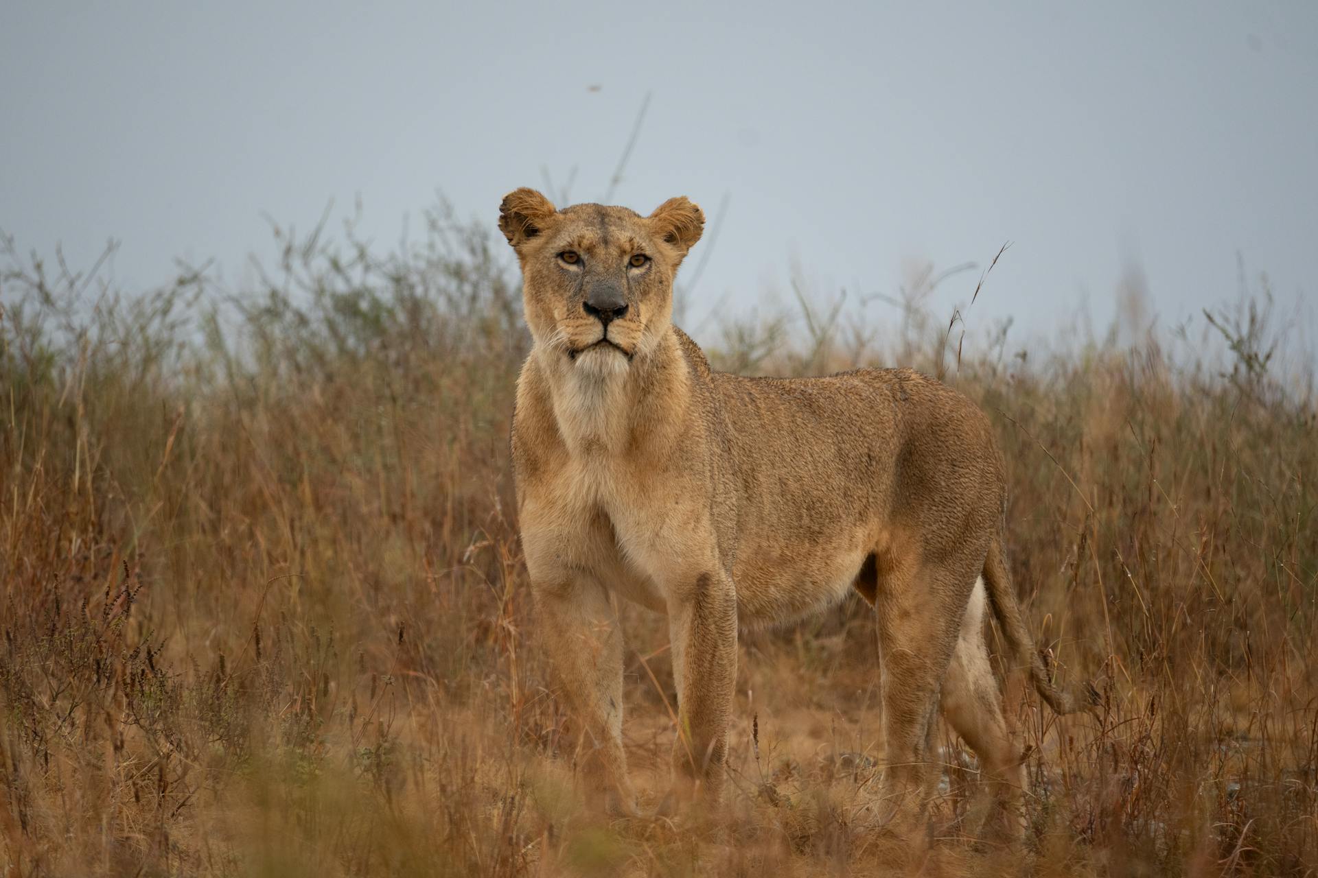 Murchsion Falls — photo 3