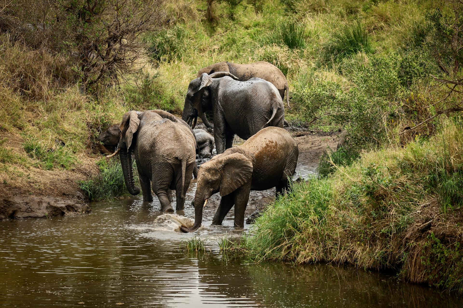 Murchsion Falls — photo 4