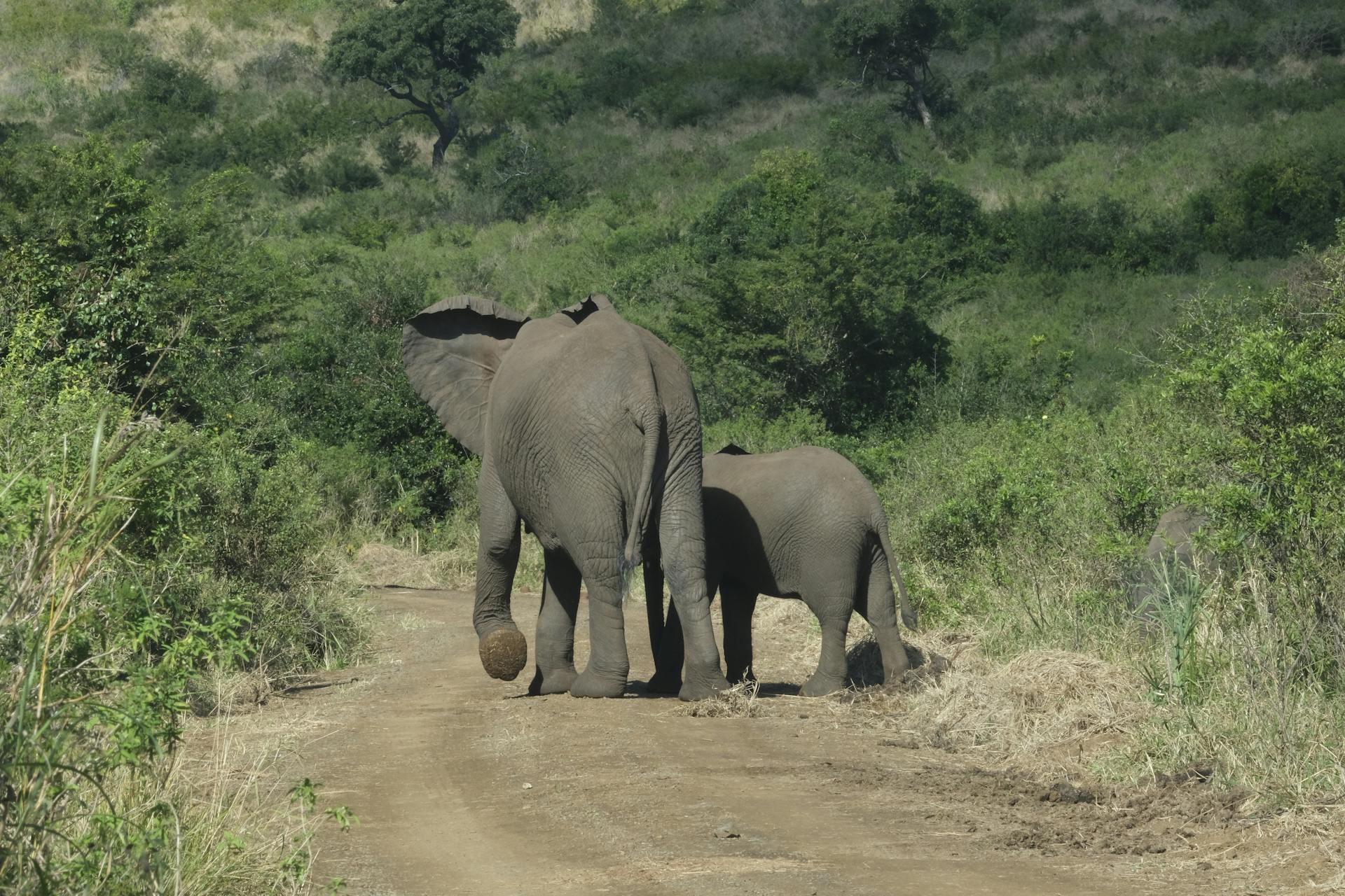 Murchsion Falls — photo 5